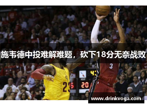 施韦德中投难解难题，砍下18分无奈战败