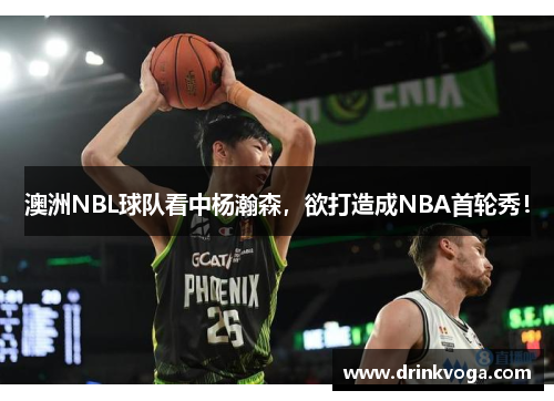 澳洲NBL球队看中杨瀚森，欲打造成NBA首轮秀！
